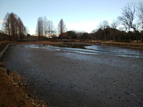 水を抜いた直後の大池の様子