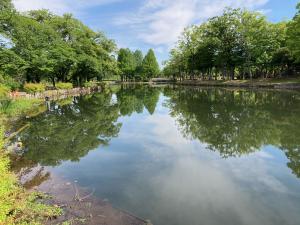 かいぼりをして地域本来の自然が再生した大池