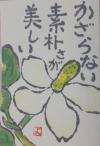 ドクダミの花の絵手紙