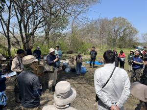 サクラソウ科サクラソウ属に分類される草本 性植物
