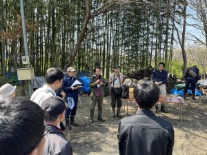 サクラソウ科サクラソウ属に分類される草本 性植物