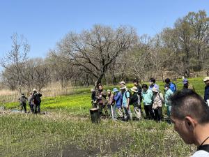 サクラソウ・ノウルシお花見会