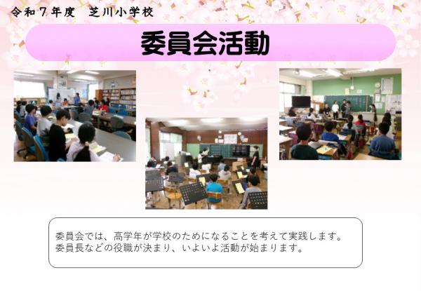 委員会活動