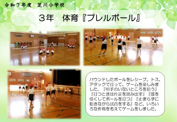 3年　体育