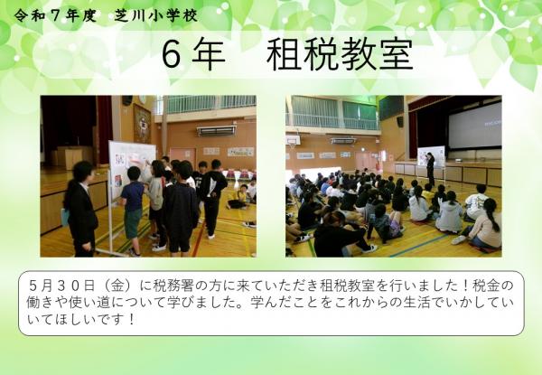 6年　租税教室
