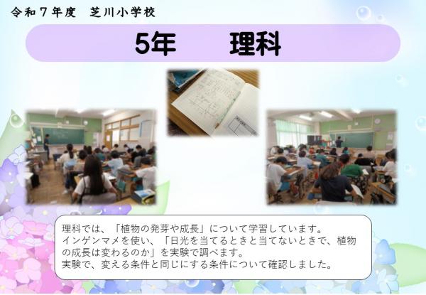 5年　理科