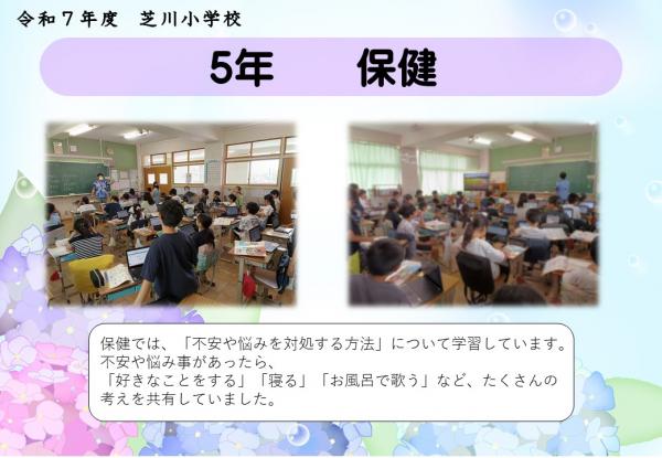 5年　保健