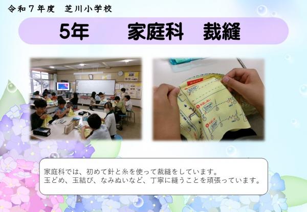 5年　家庭科