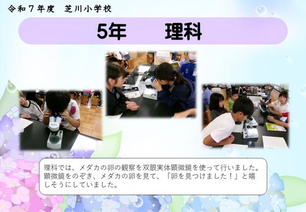 5年　理科