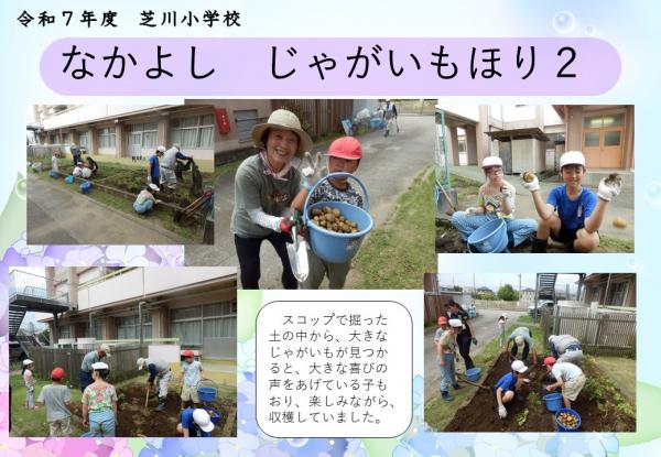 なかよし　じゃがいも
