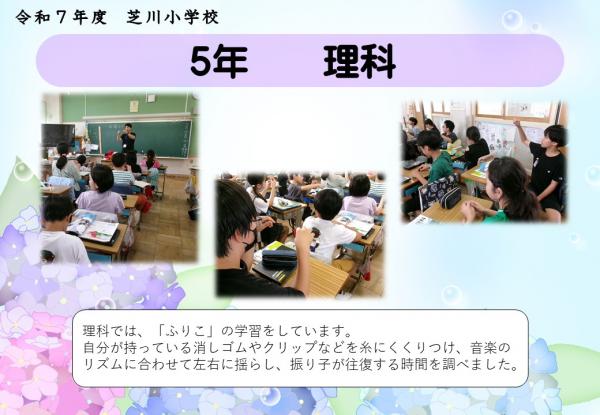 5年　理科