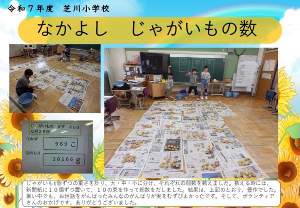 なかよし　じゃがいも