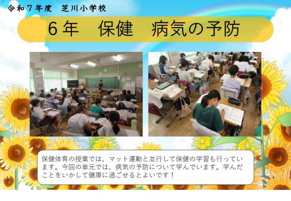 6年　保健