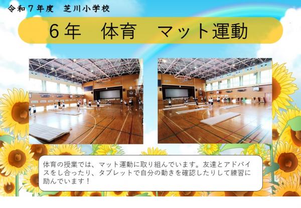 6年　体育