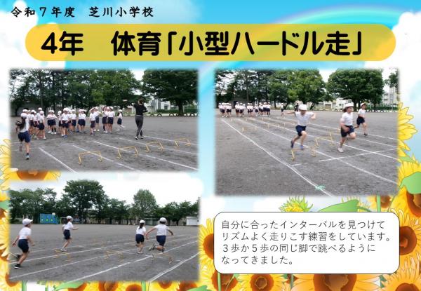 4年　体育