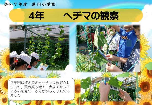 4年　理科
