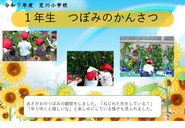 1年　理科