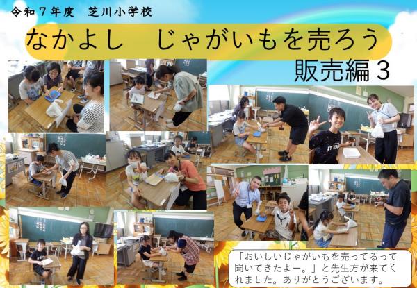なかよし　じゃがいも