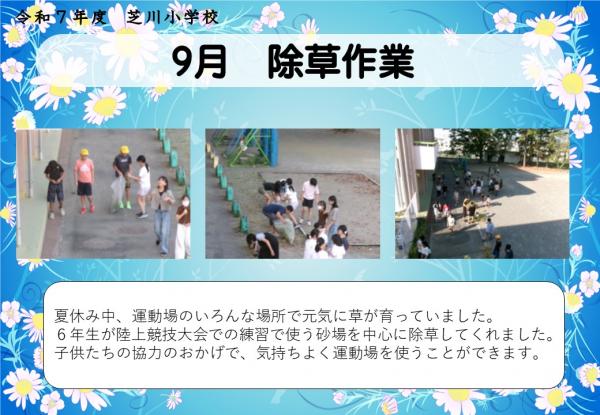 除草作業
