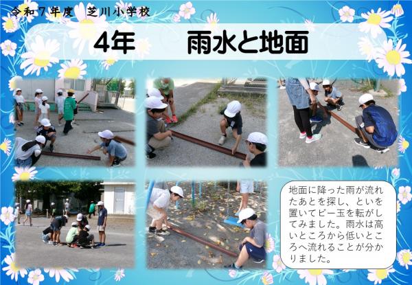 4年　理科