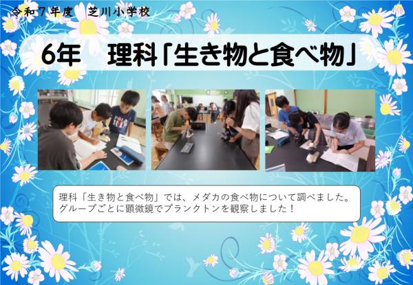 6年　理科