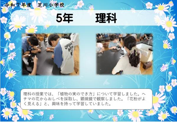 5年　理科