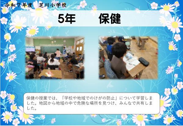 5年　保健