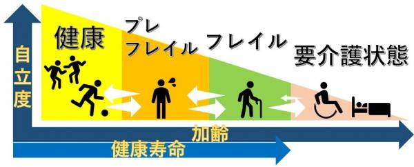 フレイルとは