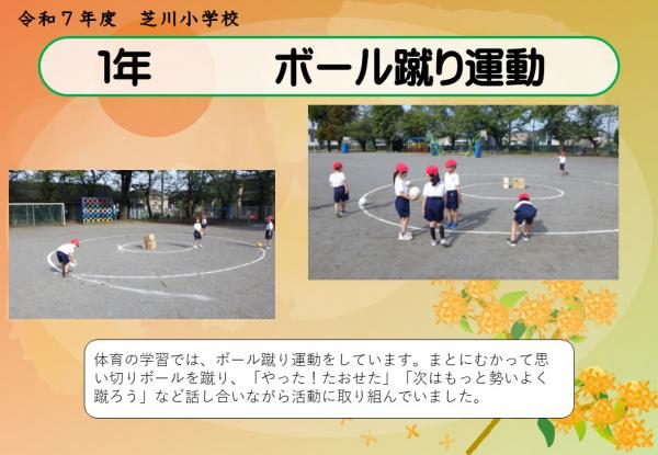 1年　体育