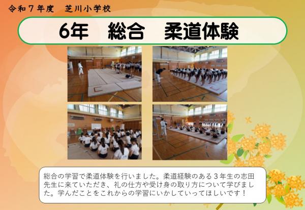 6年　総合