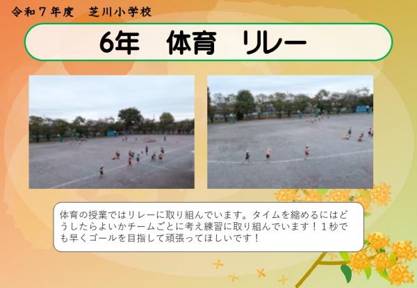 6年　体育