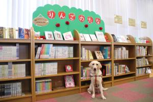 りんごの棚と盲導犬