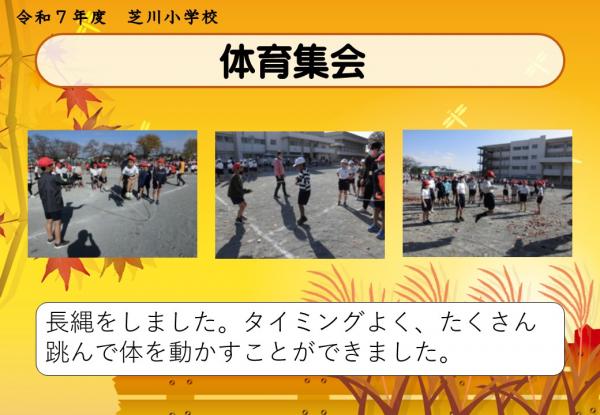 学校　体育集会