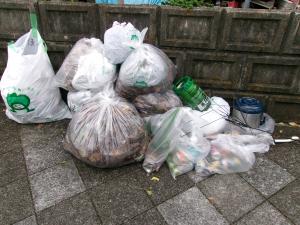 クリーン上尾運動の様子