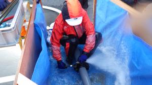 漏水が溜まり徐々に水嵩を増す中での修繕