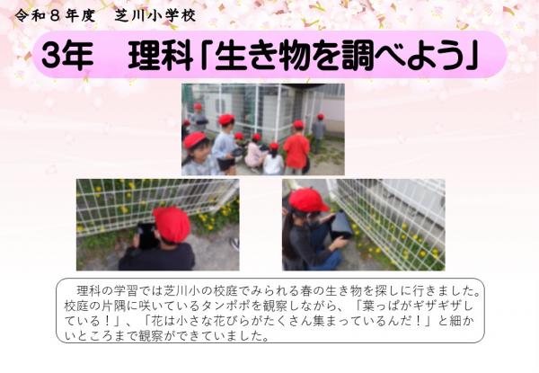 3年　理科