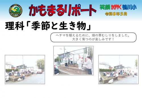 理科