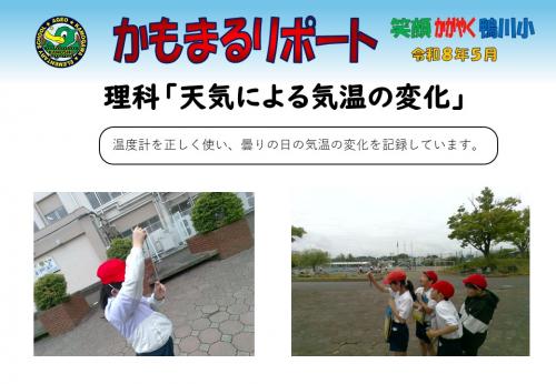 理科