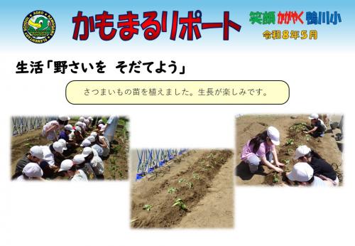 生活