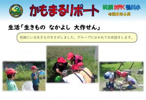 生活「生きもの　なかよし　大作せん