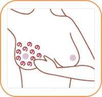 乳がん自己検診(のの字)