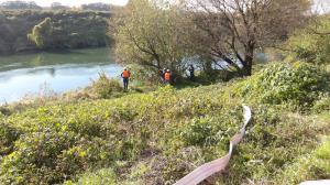 ホース延長風景