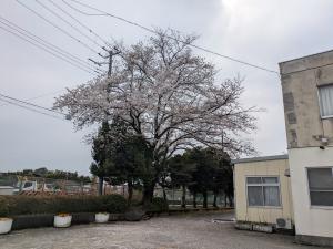 入学式