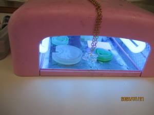 夏休み中の部活動紹介（手工芸部）